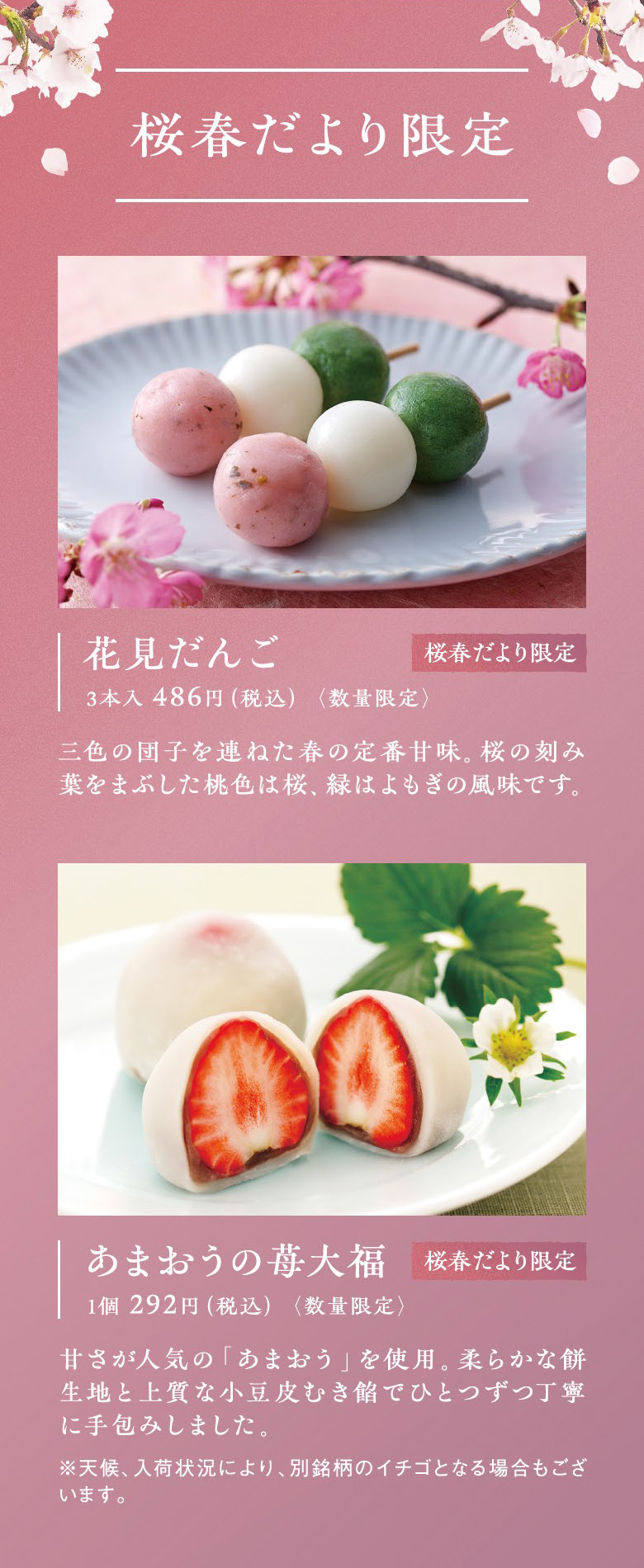 桜春だより限定